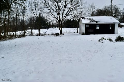 Tiny photo for 929 N Market Street, Lisbon, OH 44432 (MLS # 5179293)