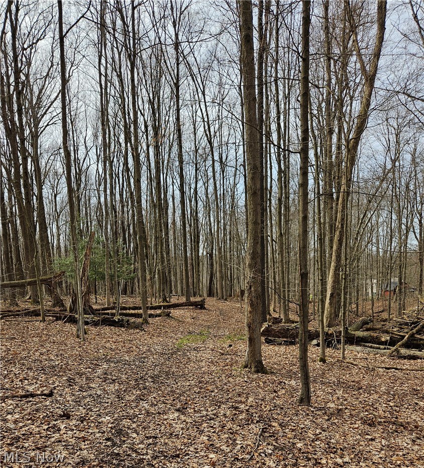 Holmes - Residential