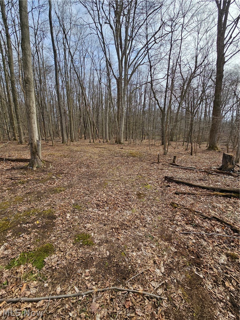 Holmes - Residential