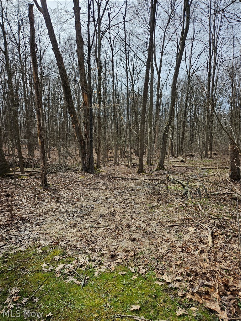 Holmes - Residential