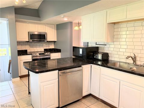 Tiny photo for 2885 E Water Street, Rock Creek, OH 44084 (MLS # 5209535)
