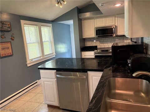 Tiny photo for 2885 E Water Street, Rock Creek, OH 44084 (MLS # 5209535)
