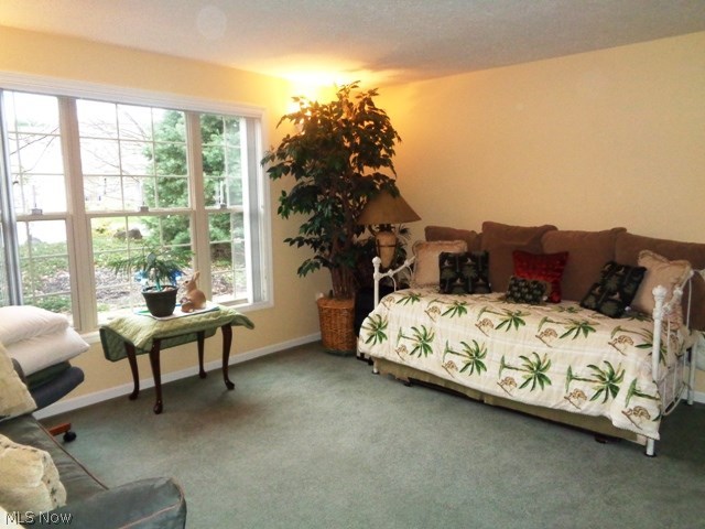 Hunters Green - Residential