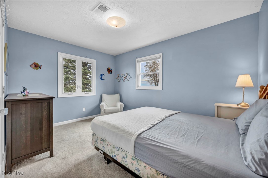 5855 Shore Drive, Madison, Ohio image 24