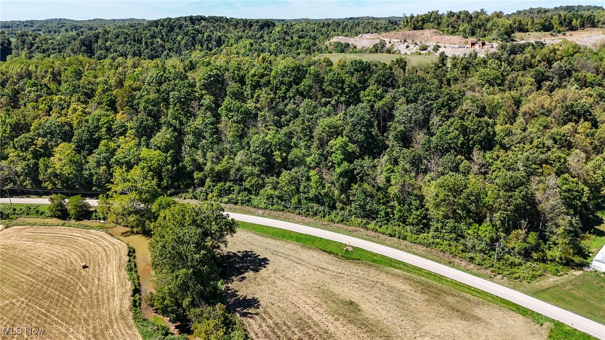 36880 Sheep Skin Ridge Road, Lower Salem, Ohio image 28