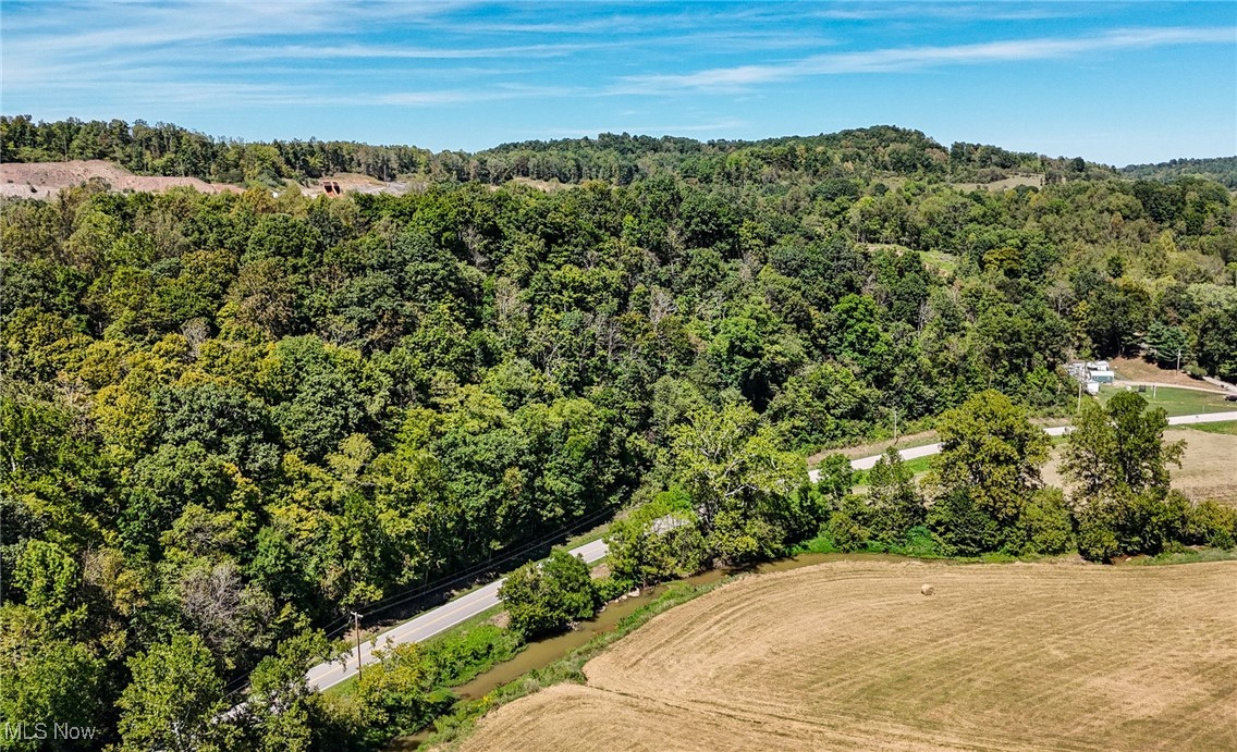 36880 Sheep Skin Ridge Road, Lower Salem, Ohio image 27