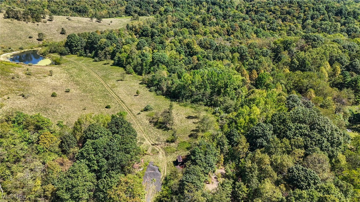 36880 Sheep Skin Ridge Road, Lower Salem, Ohio image 11