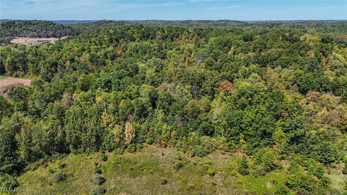 36880 Sheep Skin Ridge Road, Lower Salem, Ohio image 15