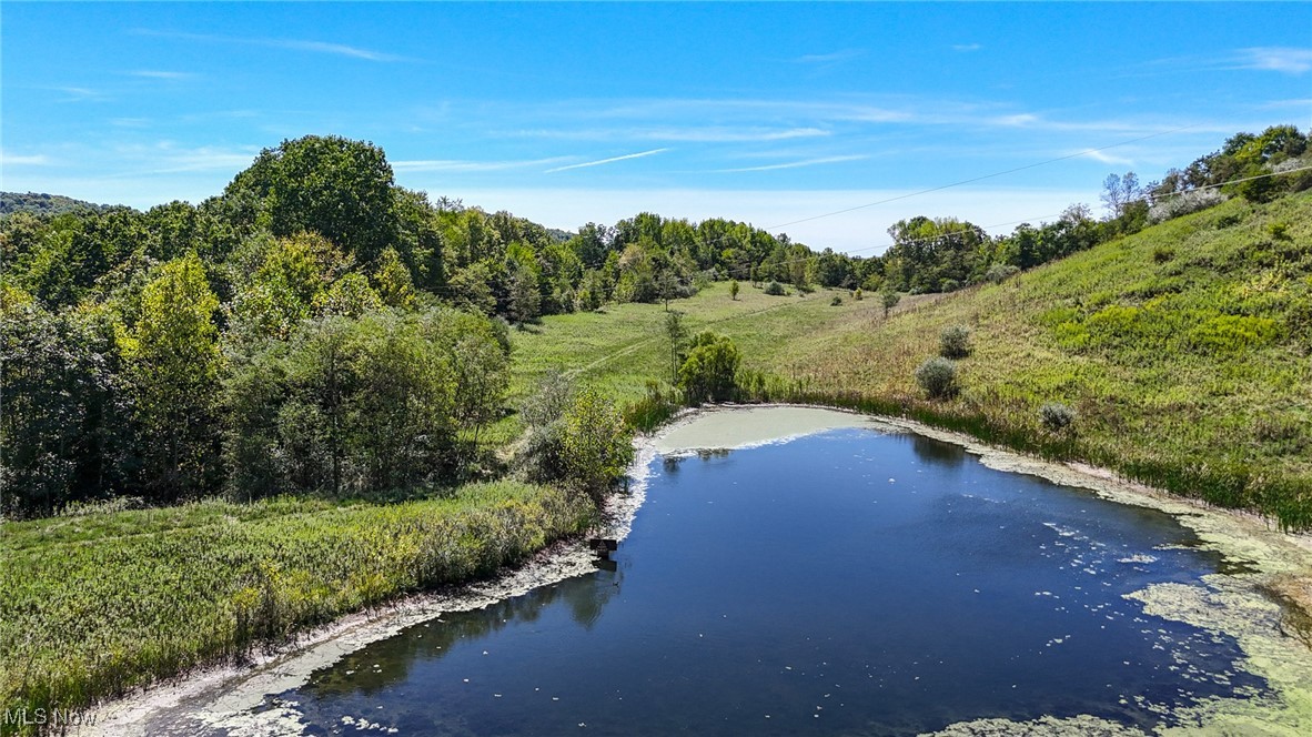 36880 Sheep Skin Ridge Road, Lower Salem, Ohio image 12