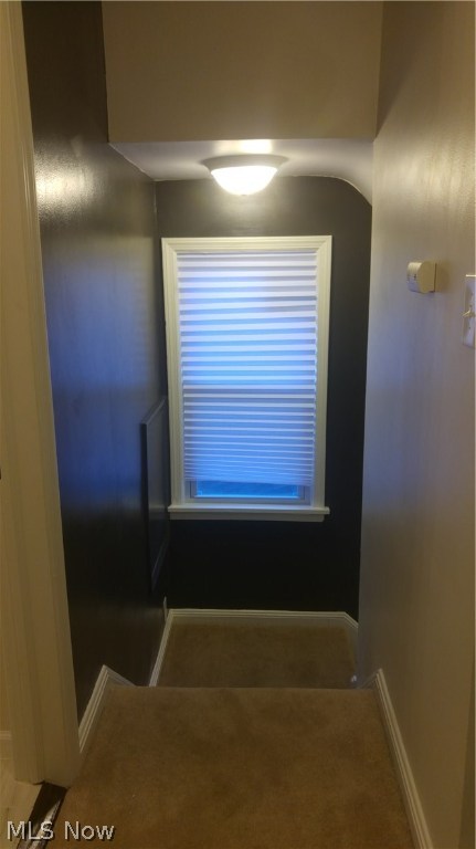 East-Way-Colony - Residential