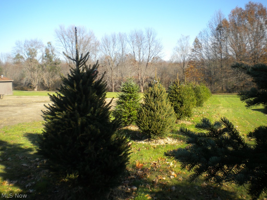 Weathersfield Township Originalsurv - Residential