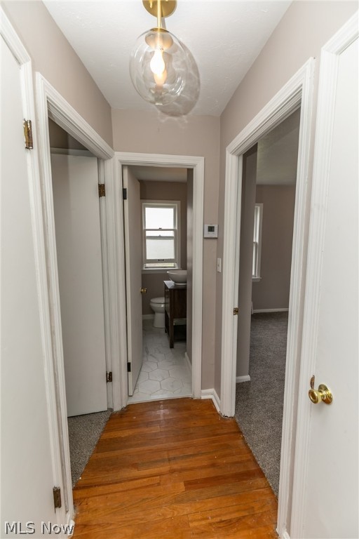 Alpha Companys Orch Vls Allotm - Residential