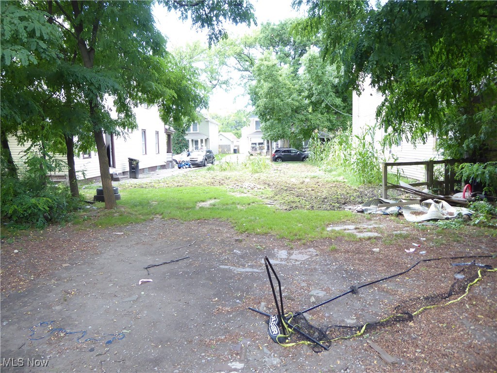 Detroit Shoreway - Land