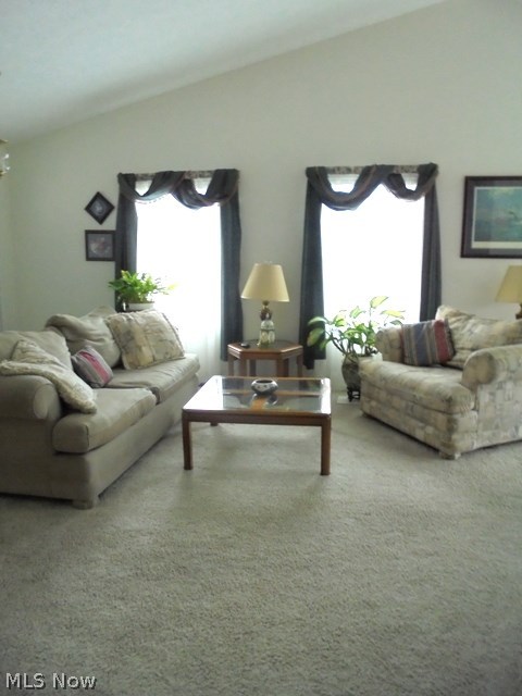 Avon Woods Condo - Residential