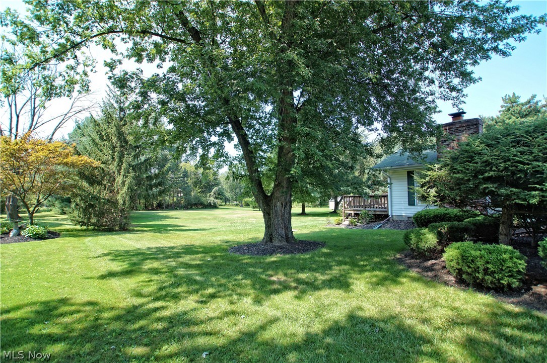 Willoughby 3 - Residential