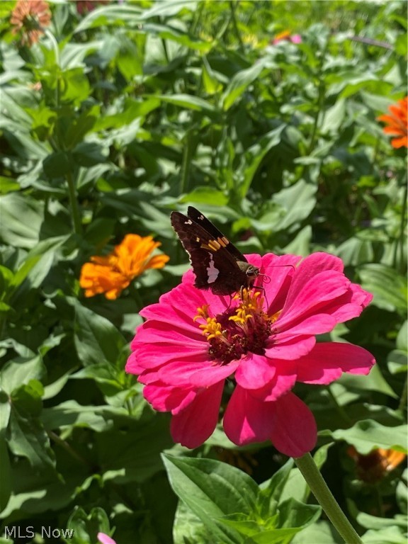 Warner - Residential