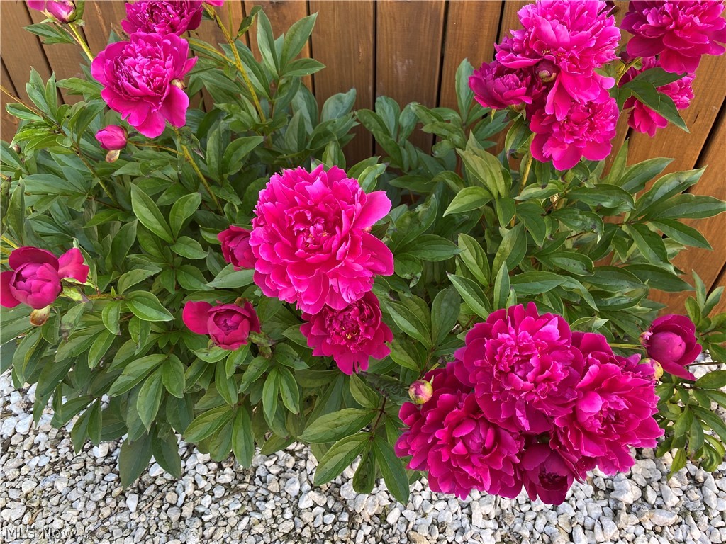 Warner - Residential