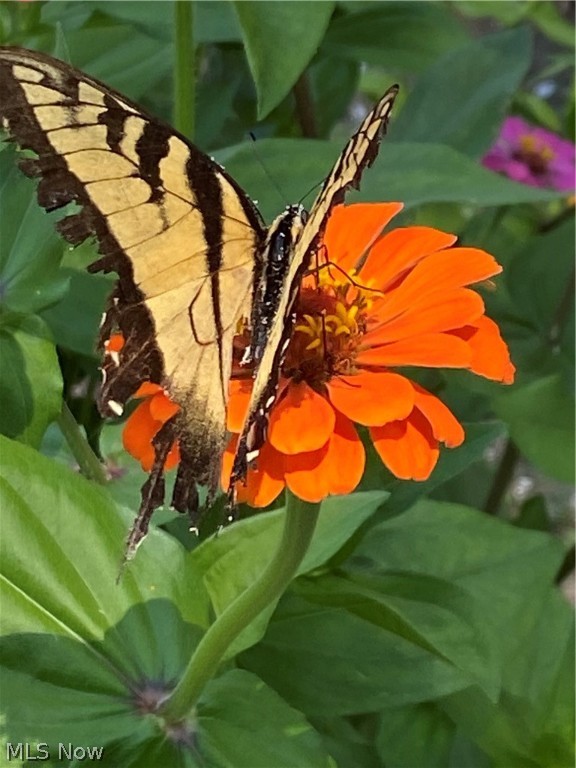 Warner - Residential