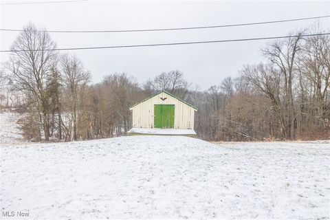 Tiny photo for 46034 State Route 541, Coshocton, OH 43812 (MLS # 5179074)