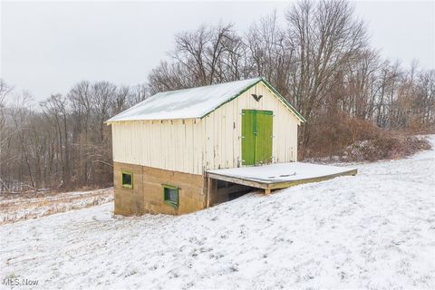 Tiny photo for 46034 State Route 541, Coshocton, OH 43812 (MLS # 5179074)