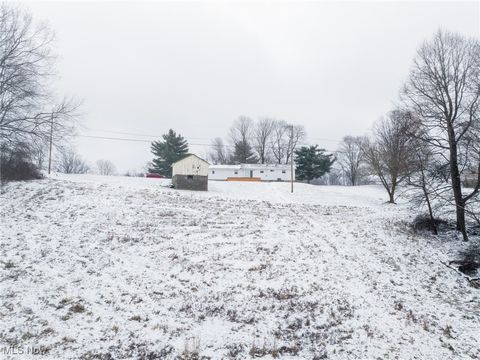 Tiny photo for 46034 State Route 541, Coshocton, OH 43812 (MLS # 5179074)