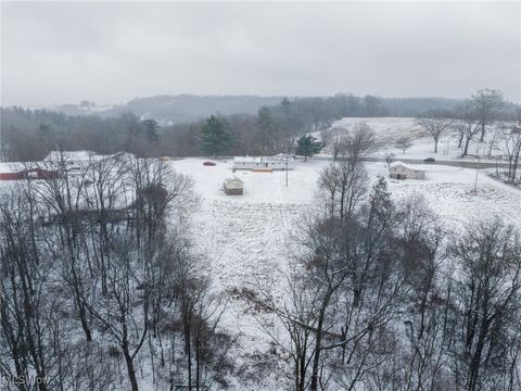 Tiny photo for 46034 State Route 541, Coshocton, OH 43812 (MLS # 5179074)