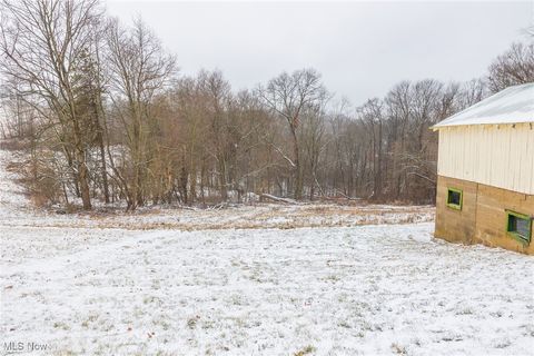 Tiny photo for 46034 State Route 541, Coshocton, OH 43812 (MLS # 5179074)