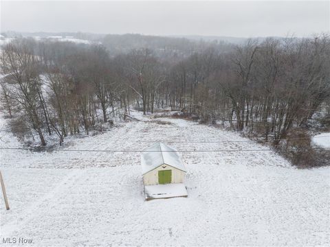 Tiny photo for 46034 State Route 541, Coshocton, OH 43812 (MLS # 5179074)