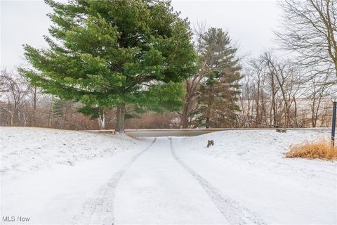 Tiny photo for 46034 State Route 541, Coshocton, OH 43812 (MLS # 5179074)