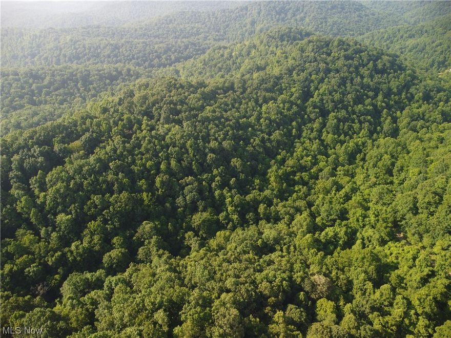 Price Reduction!!! Looking for that hunting property in Wild and Wonderful WV??? A nice trail for atvs/utvs  already in place on this property. Very easy access to your property with a well-maintained county road that runs the edge of over half of the property.  With 49 +/- acres, you could build a small primitive cabin and disappear into the wild if you so desire. Don't worry though, if you can't harvest any game, Walmart is 20 minutes away. With a dozer and power nearby, anything is possible. So call that agent and come take a look.