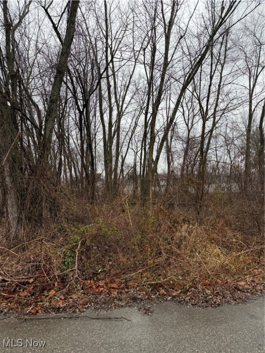 Wooded lot located in Byesville, Ohio offering the perfect balance of privacy and convenience. An excellent opportunity for building, investment, or development. Seller to retain mineral rights.
