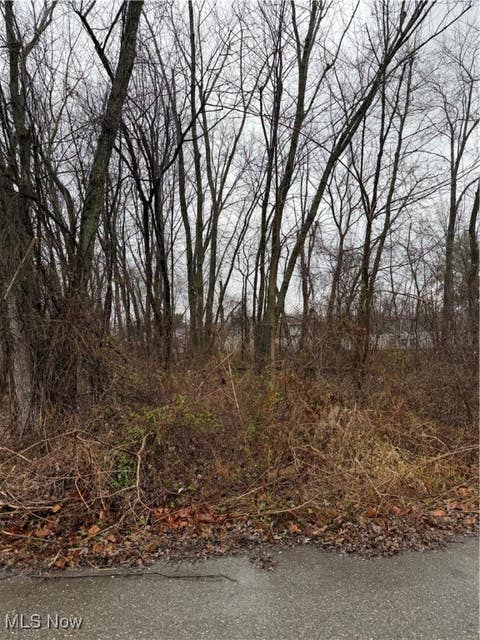 Vacant Land For Sale - Greendale Avenue<br/> Byesville, OH 43723