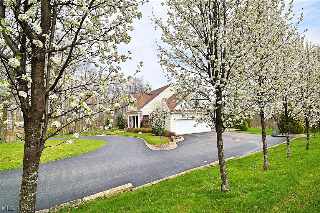 Hills & Dales - Residential