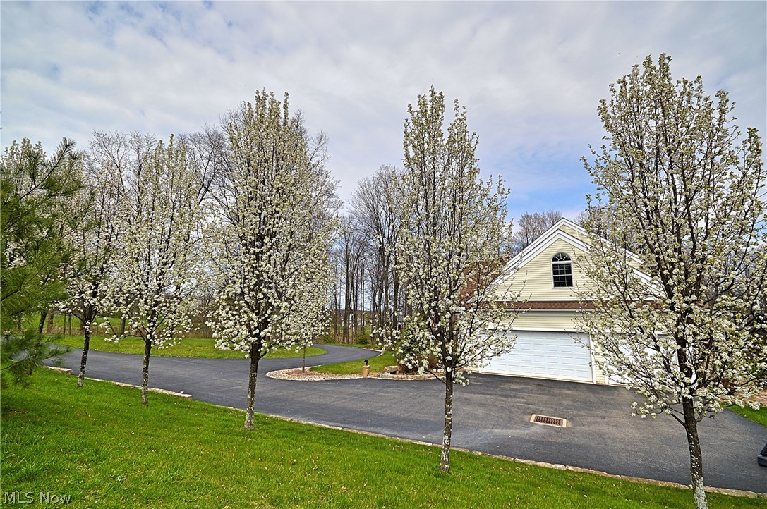 Hills & Dales - Residential