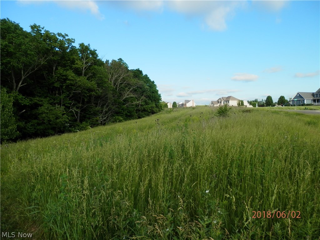 Blue Rdg Estates Ph 01 - Land