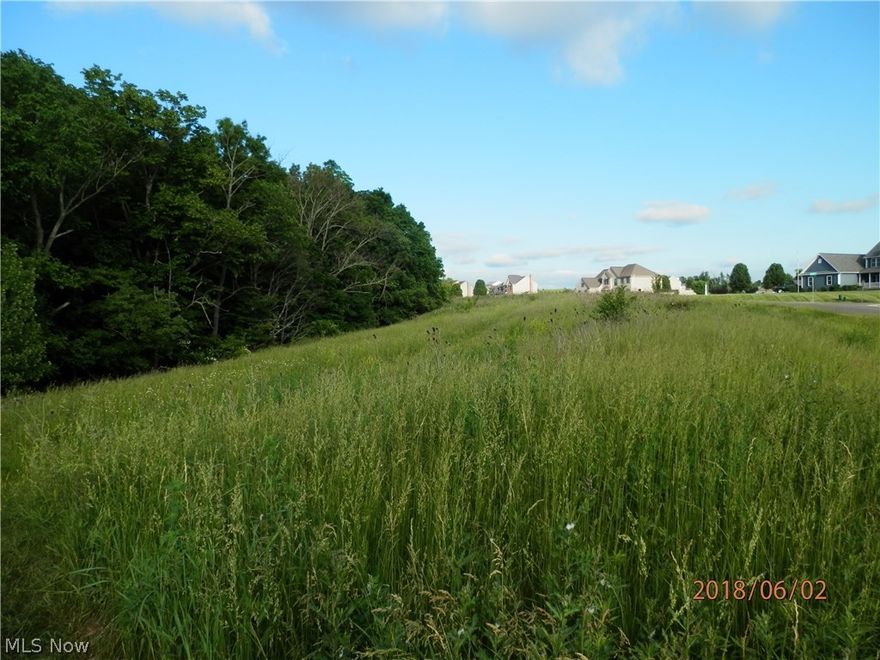 One of the Last Two Lots left in Blue Ridge Estates.  The Developer/Owner has Decided to Sell!  Beautiful Site for a Grand Entrance to this Beautiful Development!  There is an Additional 2 Acre Lot with Picture Perfect Pond Directly Behind this Lot that is also Available to Purchase if so Desired to Enjoy More Space & Views that would offer a total of approximately 5.82 Acres.  This 3.82 Acre Treed Lot is Only Minutes from Routes 18, 94, 57, & 224.  Bring your Own Builder, Spark your Imagination, & Fulfill your Dreams!