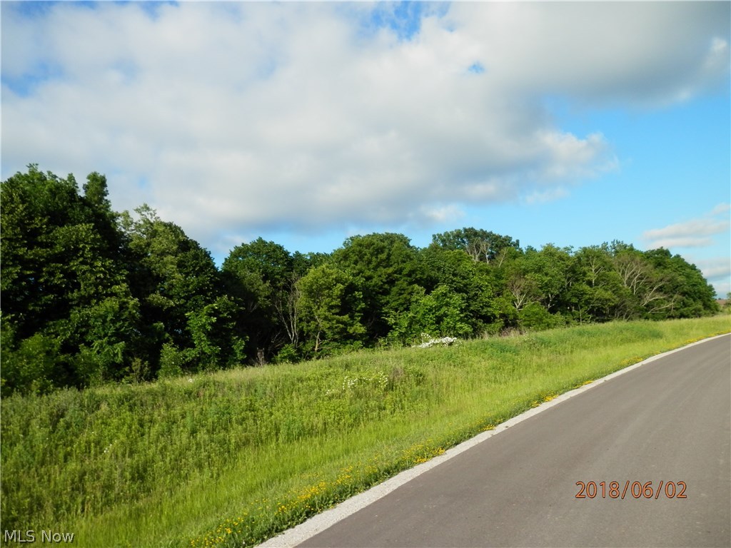 Blue Rdg Estates Ph 01 - Land