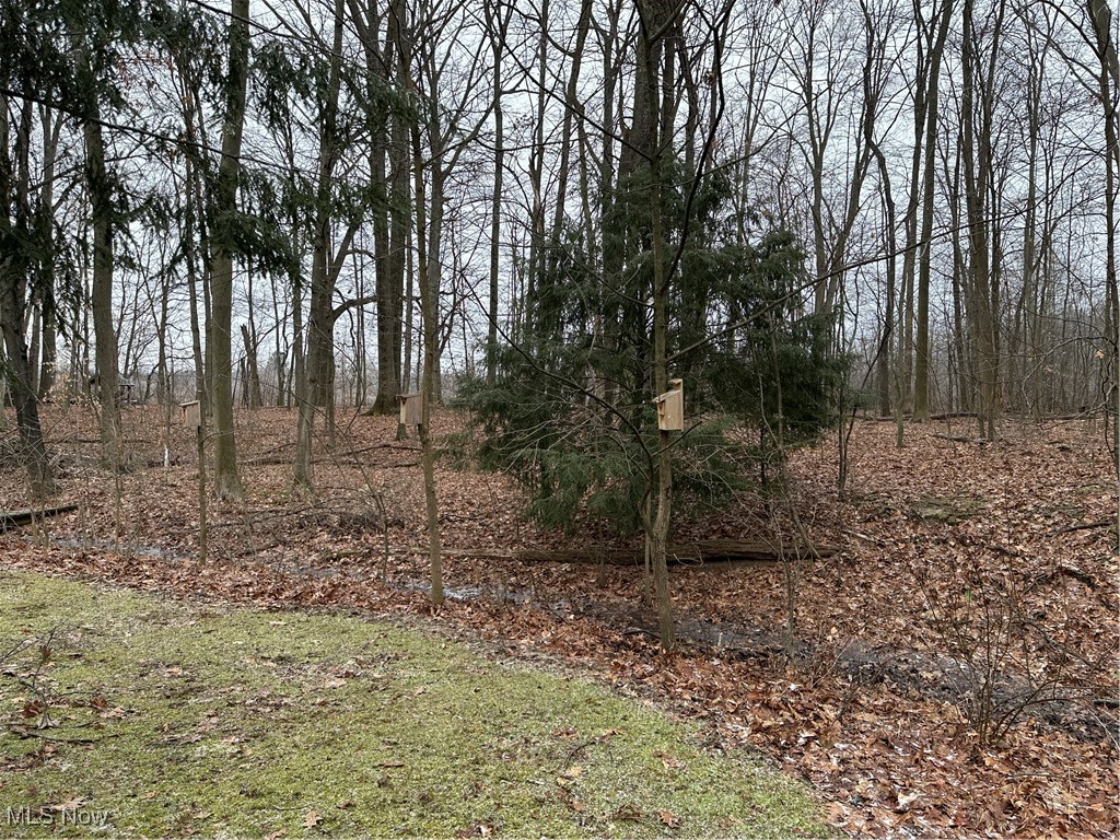 3629 Hummingbird Hill Drive, Poland, Ohio image 39