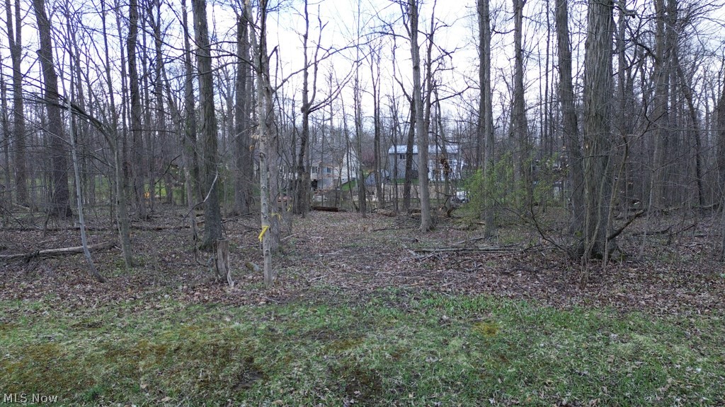 Cinnamon Lake - Land