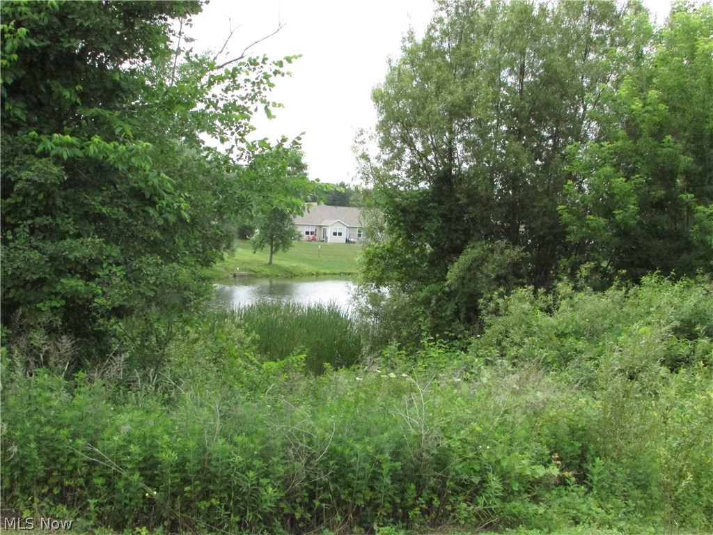 Lakes At Brittany Pointe Sub - Residential