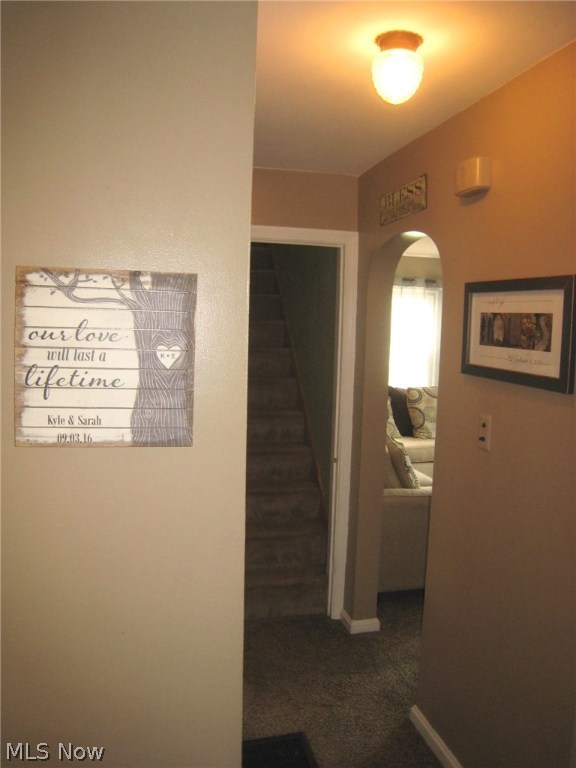 Friedhaven Allotment - Residential