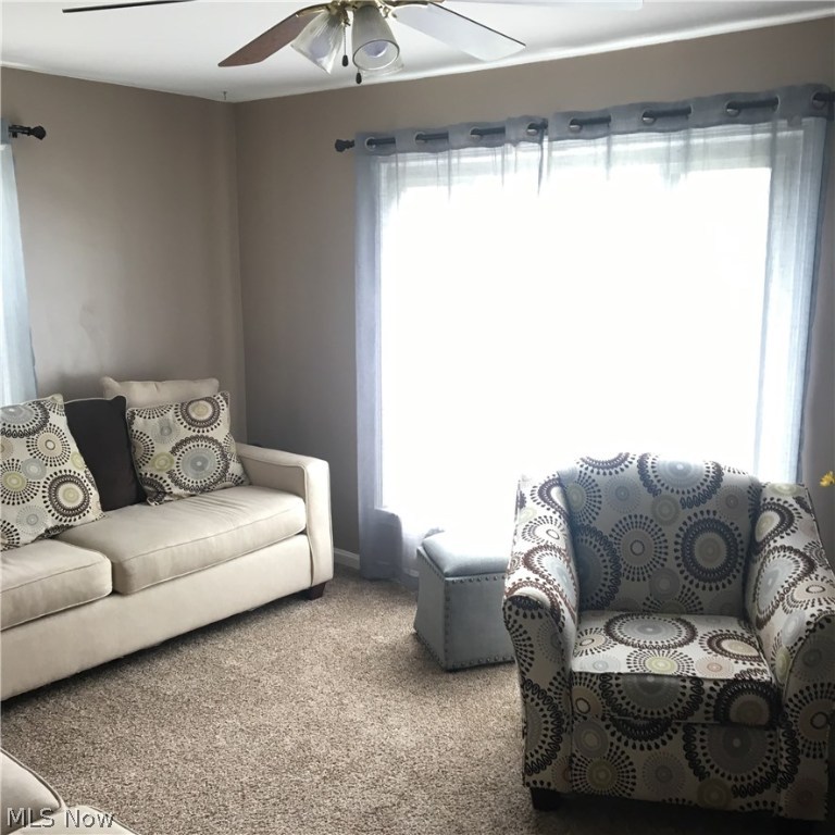 Friedhaven Allotment - Residential