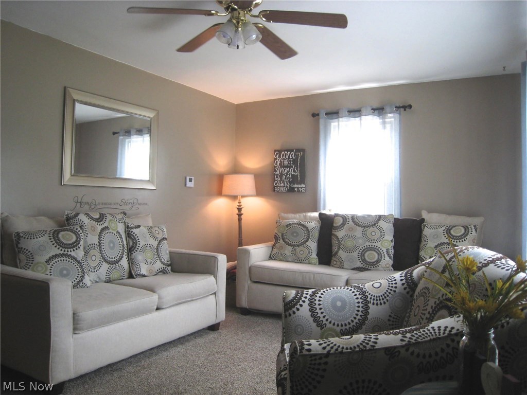 Friedhaven Allotment - Residential