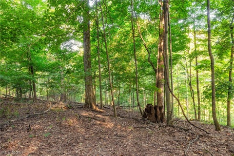 Vacant Land For Sale - 10772 Lawndell Road #8<br/> Navarre, OH 44662