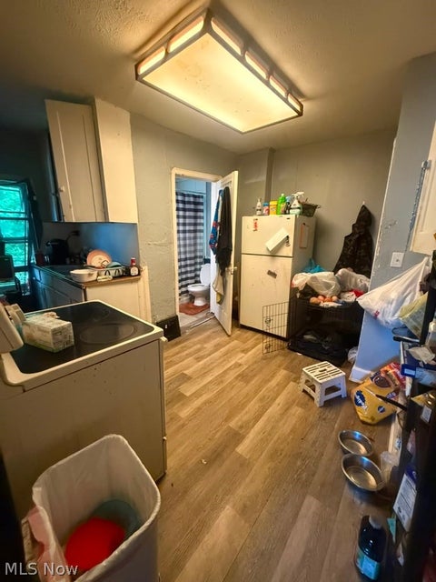 Tiny photo for 133 W Jackson Street, Painesville, OH 44077 (MLS # 5240320)