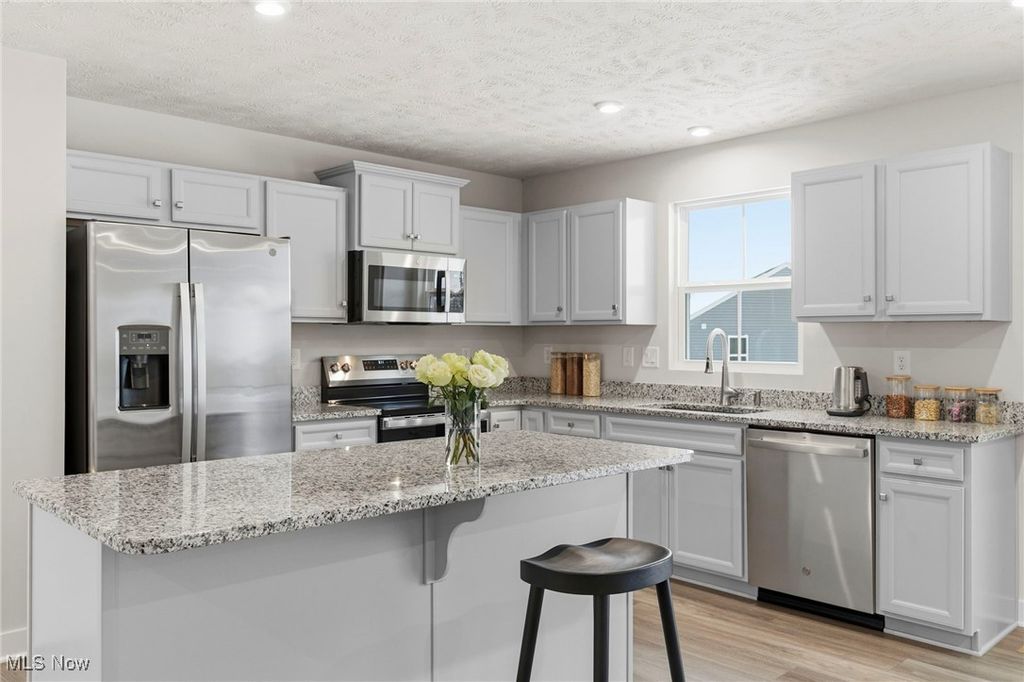 Photo of 994 Bookman Avenue, Akron, OH 44312 (MLS # 5177358)