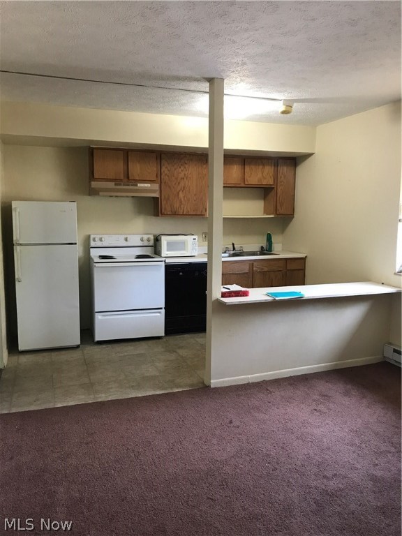 Rentschler Schoeninger Allotme - Residential Lease