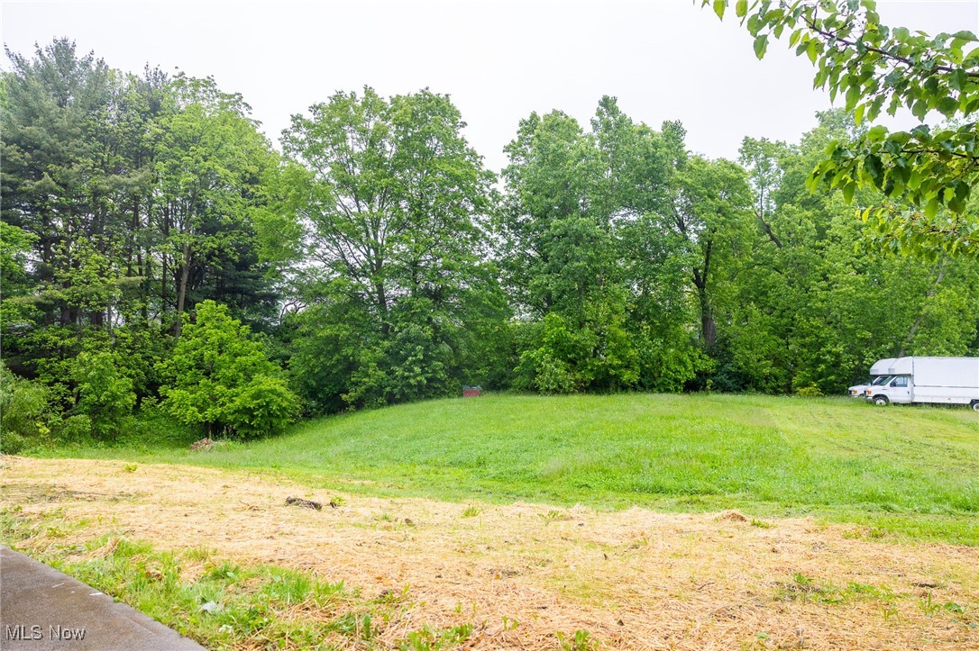 55 Elm Street Dr, Rittman, Ohio image 40