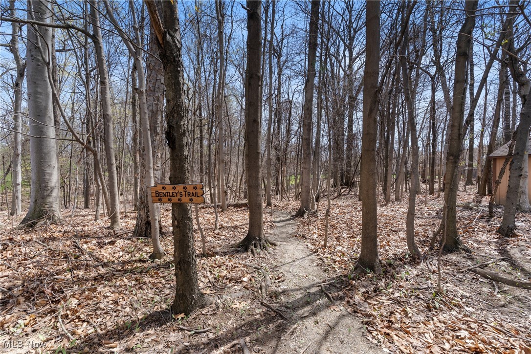 7951 Timber Ridge Drive, North Royalton, Ohio image 43