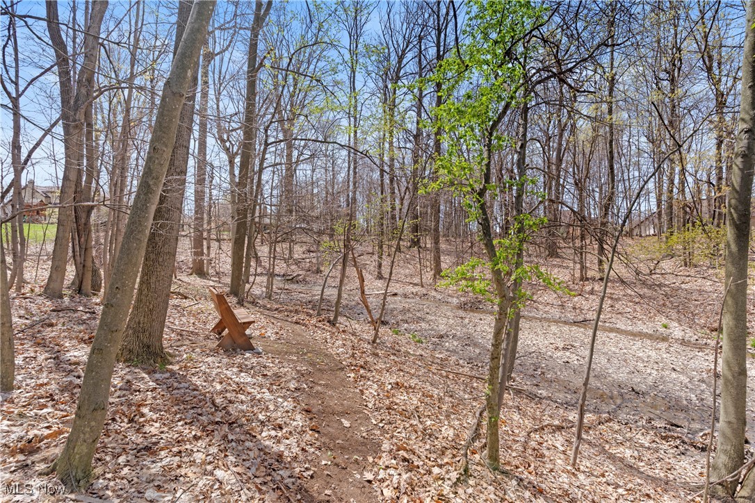 7951 Timber Ridge Drive, North Royalton, Ohio image 48
